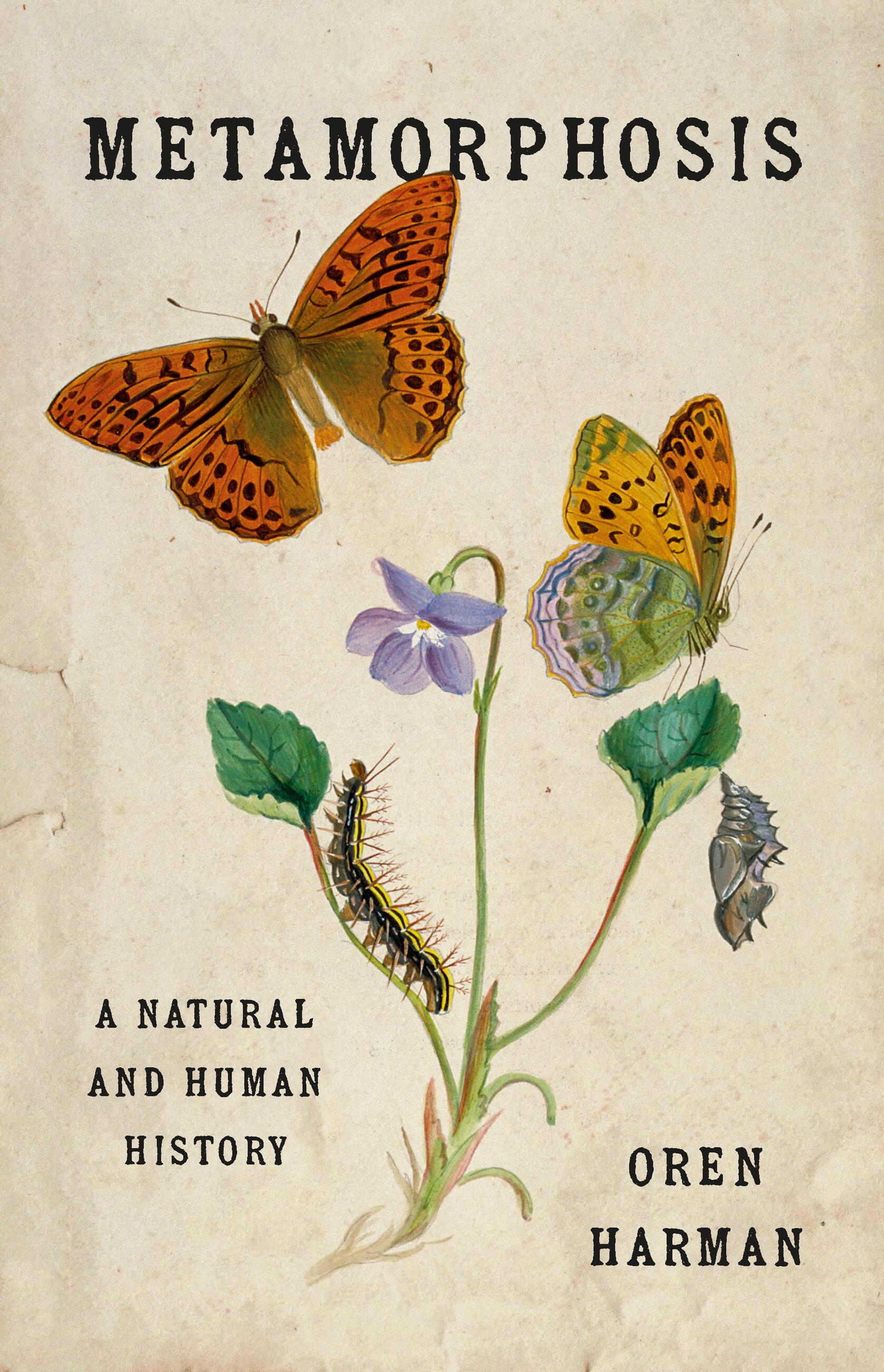 Metamorphosis
