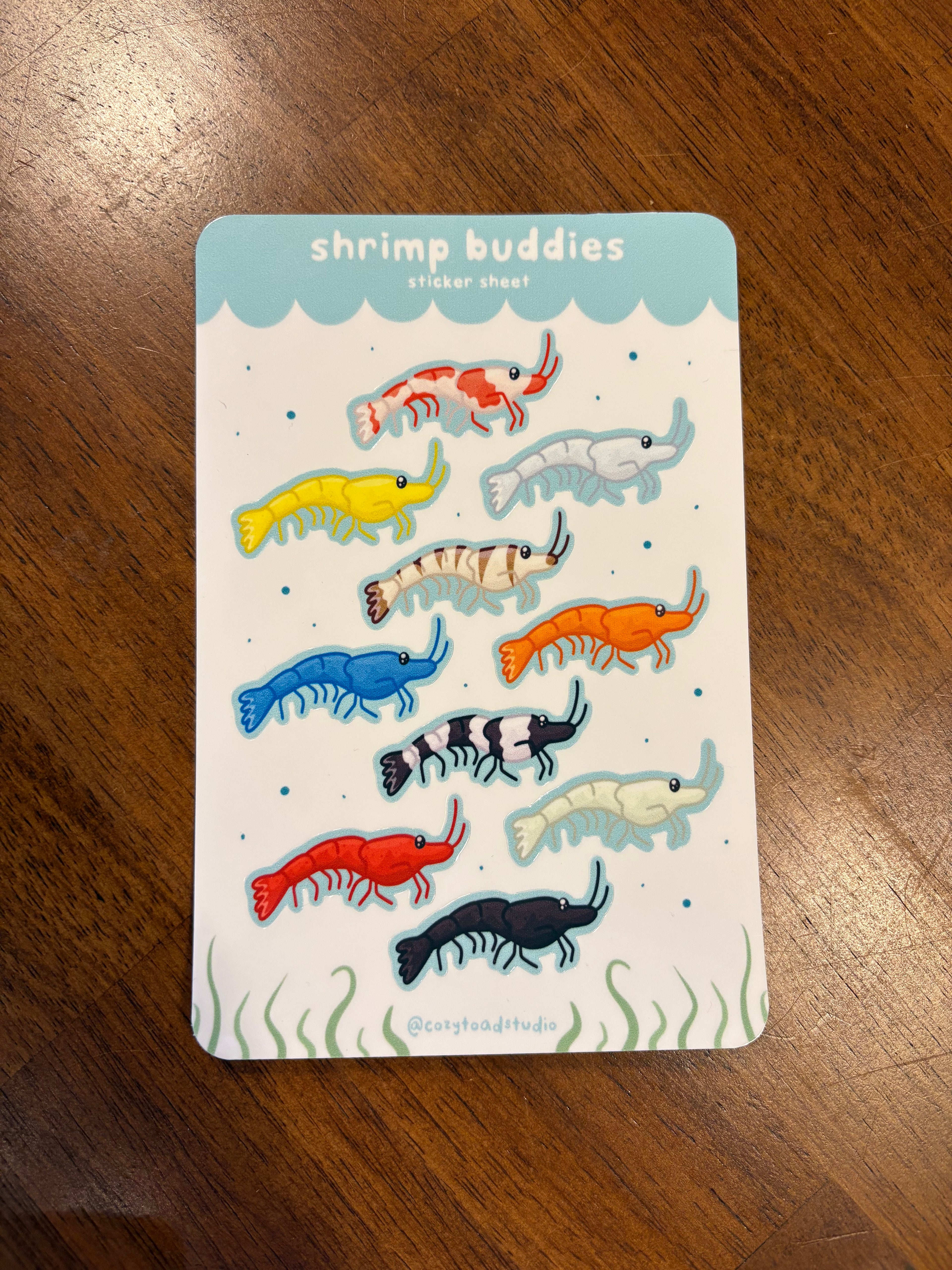 Cozy Toad Sticker Sheet